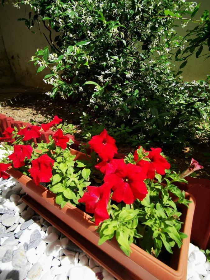 Hermes Modern Apartment Alexandroupoli Esterno foto